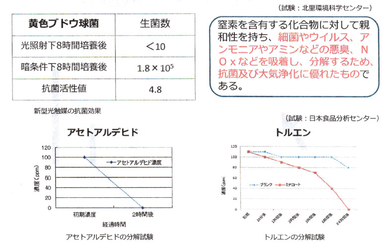 検証結果