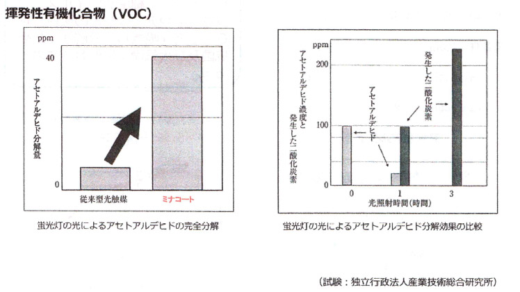 検証結果