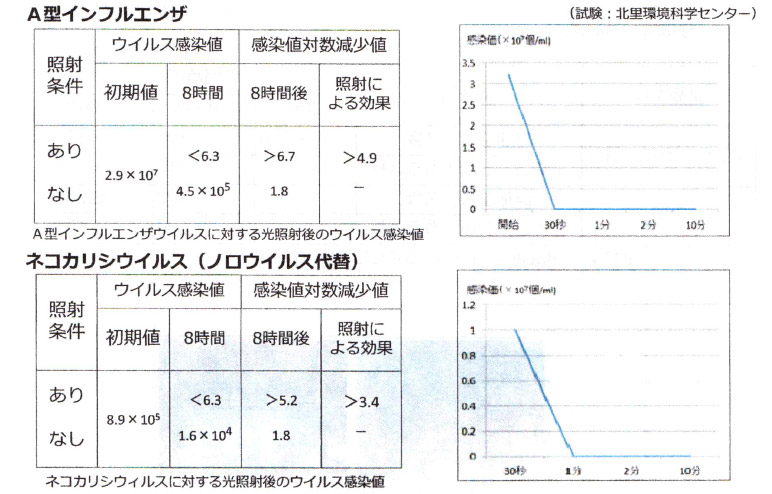 検証結果